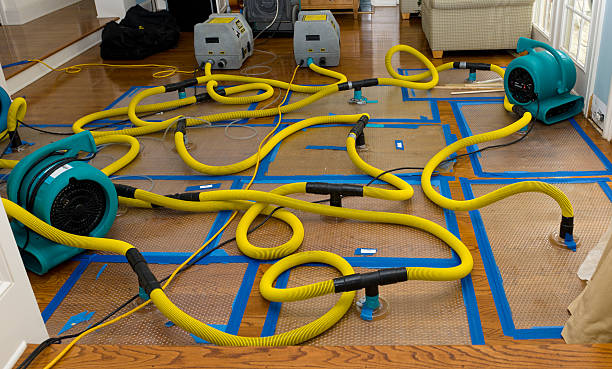 Professional Crawl Space Water Removal technician working in Cecil, OH